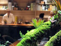 -森味薪火烧•烧鸟居酒屋•日本料理(望京店)
