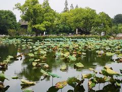 -无锡蠡湖国家湿地公园-蠡园