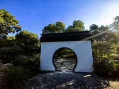 -上海共青森林公园