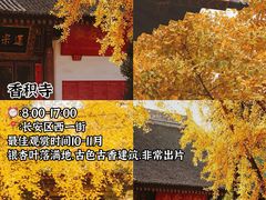 -西北轻工批发市场