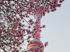 -东方明珠广播电视塔