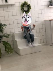-小鬼当佳儿童摄影(龙德广场店)