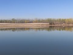 -东郊湿地公园