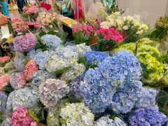 -盒马鲜生(皇庭广场店)