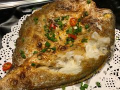 -九府羊·鲜羊火锅·烤串(新华路店)