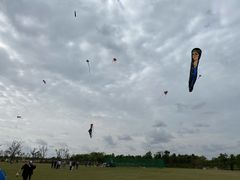 -春花秋色城市公园