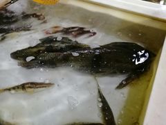 -新农都水产市场