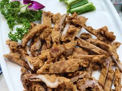 -食鸡公社辣子鸡·潍坊菜·烧烤