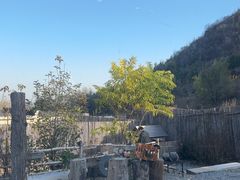 -小时光咖啡馆(开森度假森林店)