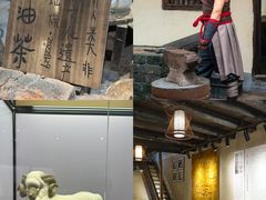 -飞天山旅游区