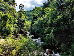-海南热带雨林国家公园吊罗山景区