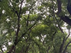 -王歘歘·chuǎ火锅(五道营店)