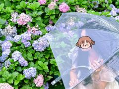 -天适樱花悠乐园
