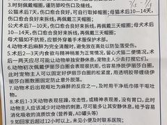 -申普宠物医院·心脏介入·心血管微创(总院)
