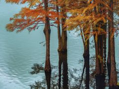 -白鹭湾湿地公园