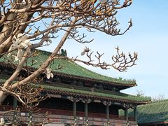 -国家图书馆·古籍馆