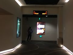 -嘉华国际影城(学清路店)