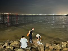 -宝安西湾红树林湿地公园