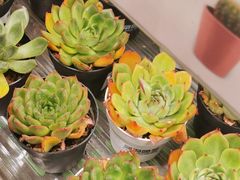 -鹿岛生活(熙地港店)