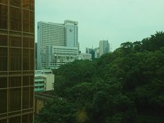 -香港皇家太平洋酒店