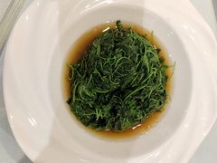 -新雅粤菜馆(南京东路店)