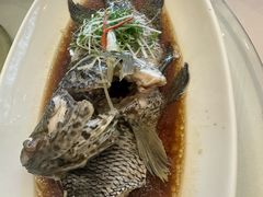 -骏莱海鲜鱼港(五角场店)