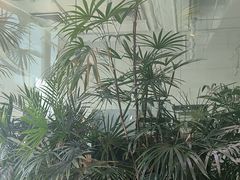 -大视光学•LINDBERG林德伯格•全球手工眼镜集合店(王府井店)