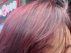 -潘多拉Hairsalon