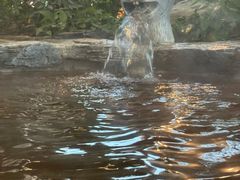 -中家鑫园温泉酒店鑫悦汤泉