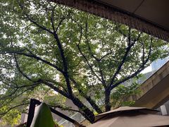 -星巴克臻选(杭州万象城店)