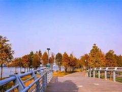 -飞来湖湿地公园