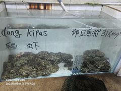 -海盗餐厅