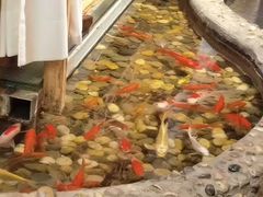 -醉霖生态餐厅(交大店)