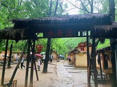 -微山湖红荷湿地景区