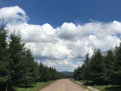 -空中草原