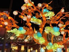-横店影视城梦幻谷园区