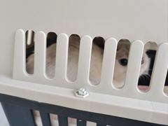 -中农国际动物医院24小时·猫科·骨科·急重症中心