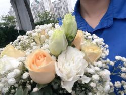 -你好晴天·目的地婚礼