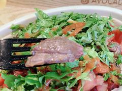 -油梨树AVOCADO TREE(望京店)