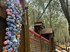 -西部长青自然儿童乐园