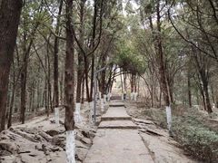 -云龙山
