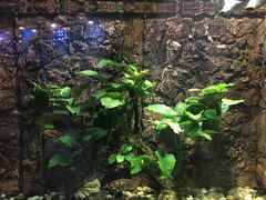-苏州海洋馆