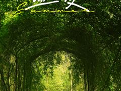 -合肥滨湖国家森林公园