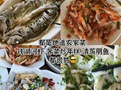 -晓琦农家菜馆·地道农家菜