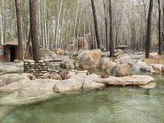 -北京野生动物园