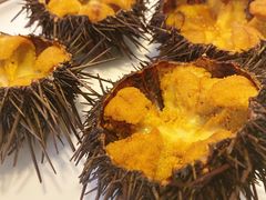 -海胆小馆(东北水饺·春柳店)