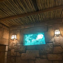 -翱翔飞越地平线