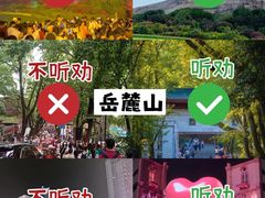 -橘子洲景区