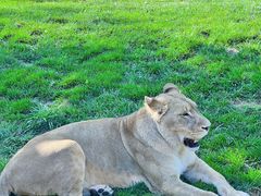 -北京野生动物园