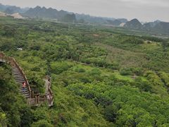 -南宁花花大世界景区